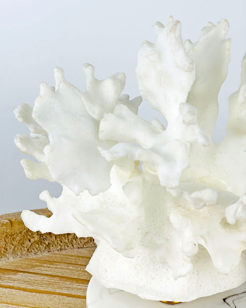 AGUIDA FAUX CORAL DECOR