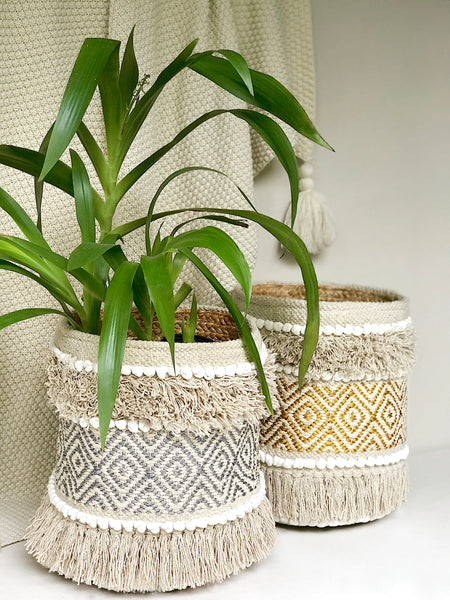 ALMA PLANT BASKET