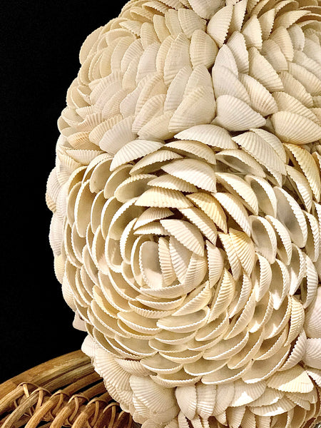 CONCHA SEASHELL LAMP