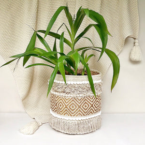 DULCE PLANT BASKET