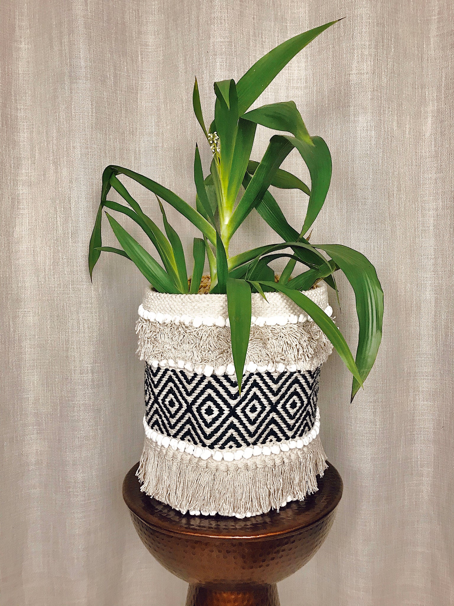 HILDA PLANT BASKET