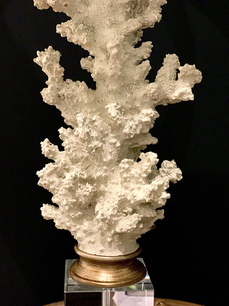 REEF CORAL LAMP