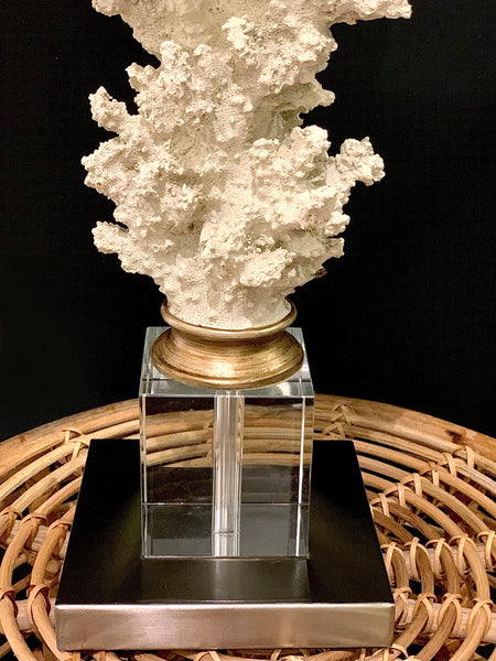 REEF CORAL LAMP