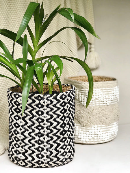 CATALINA PLANT BASKET